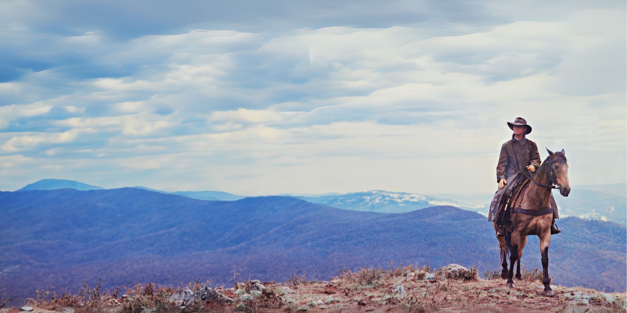 Untitled design (17)