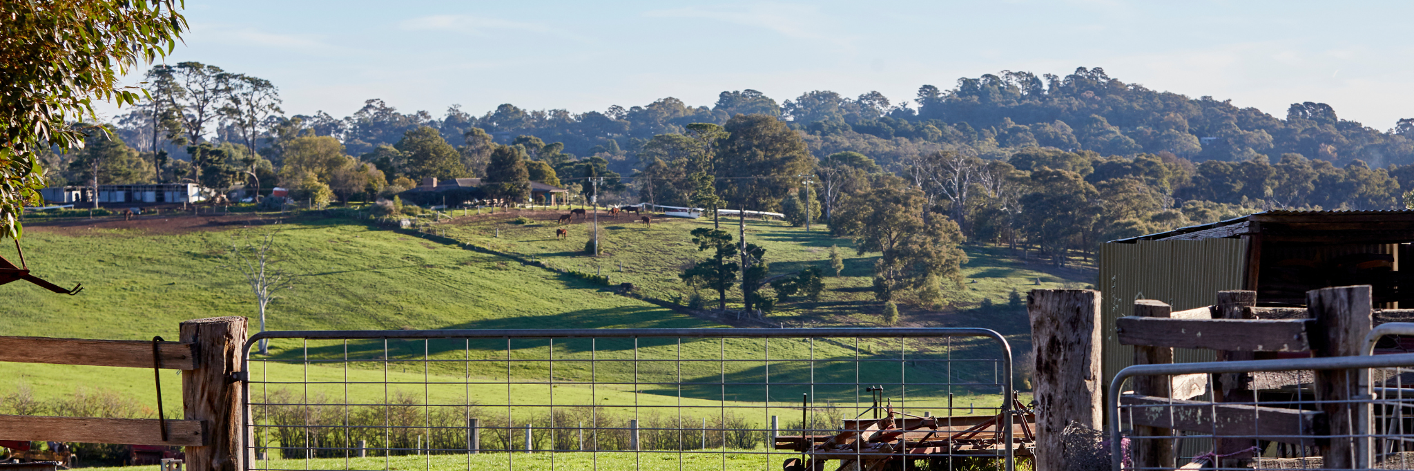 Pure Western Newsletter Footer