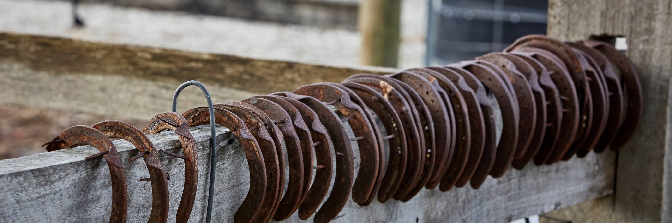 Pure Western - Sign Up Newletter