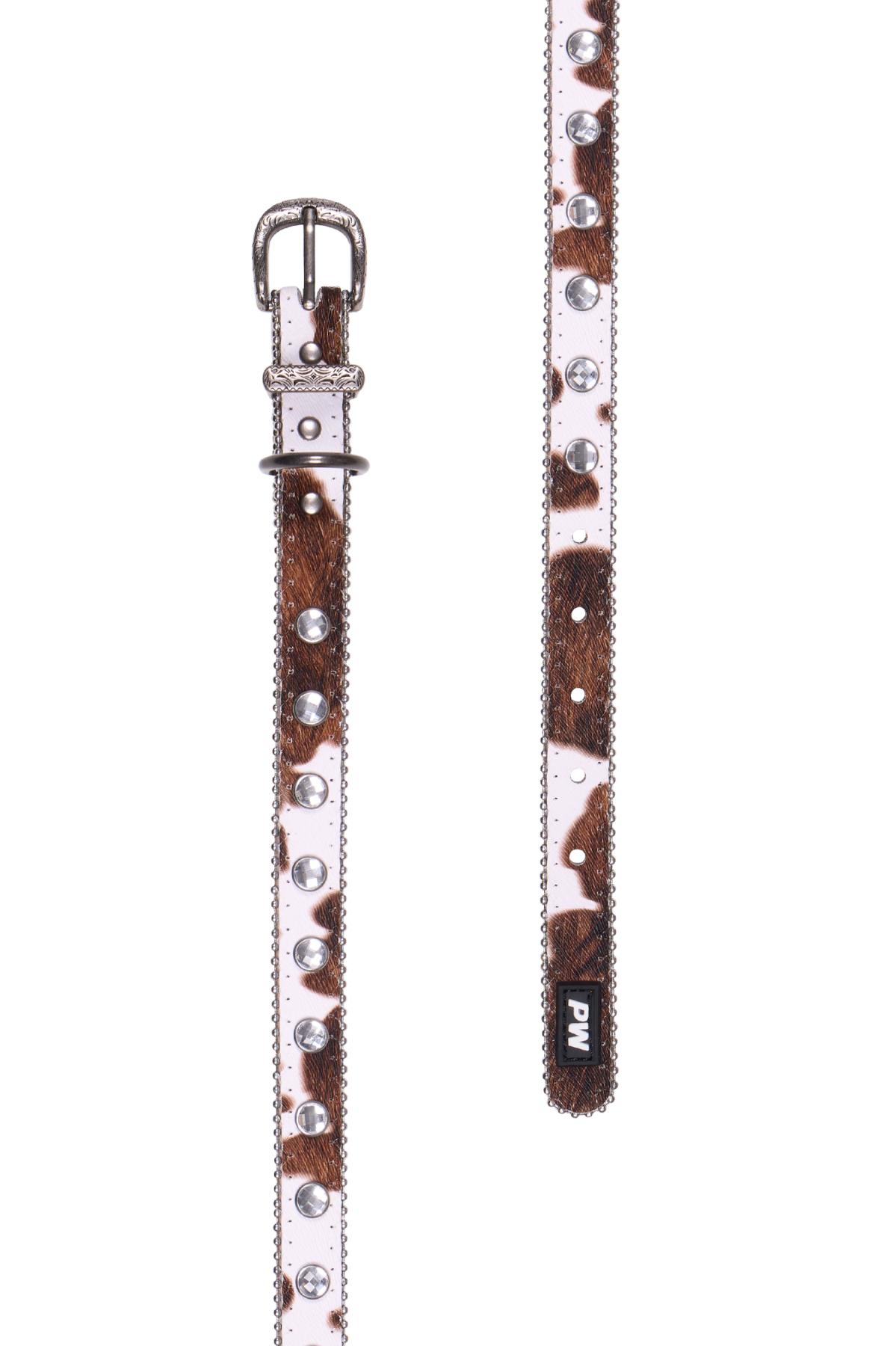 Randy Dog Collar