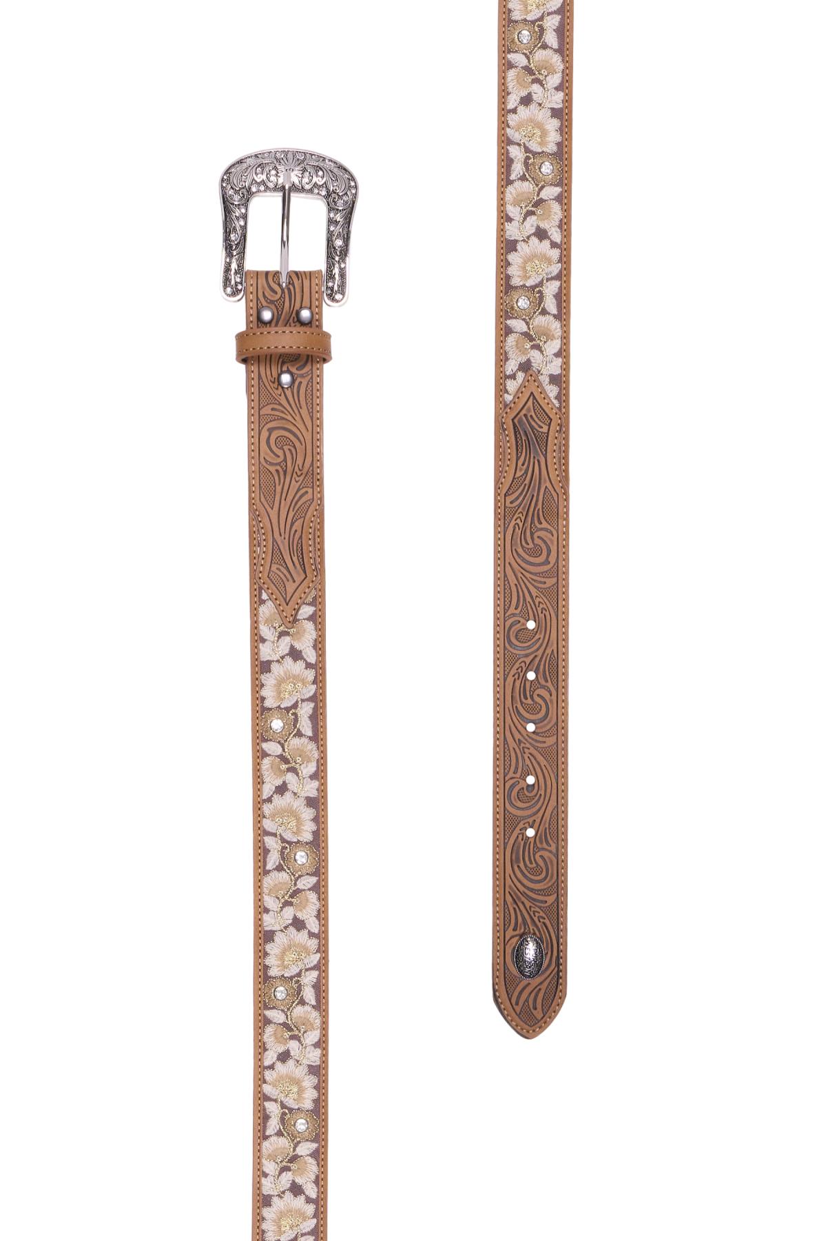 Aster Belt